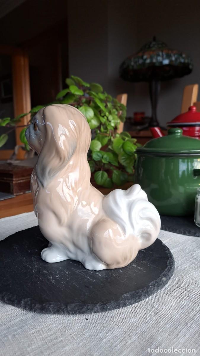 Antig&uuml;edades: PERRO Perrito PEKINES Sentado LLADRO - Foto 2