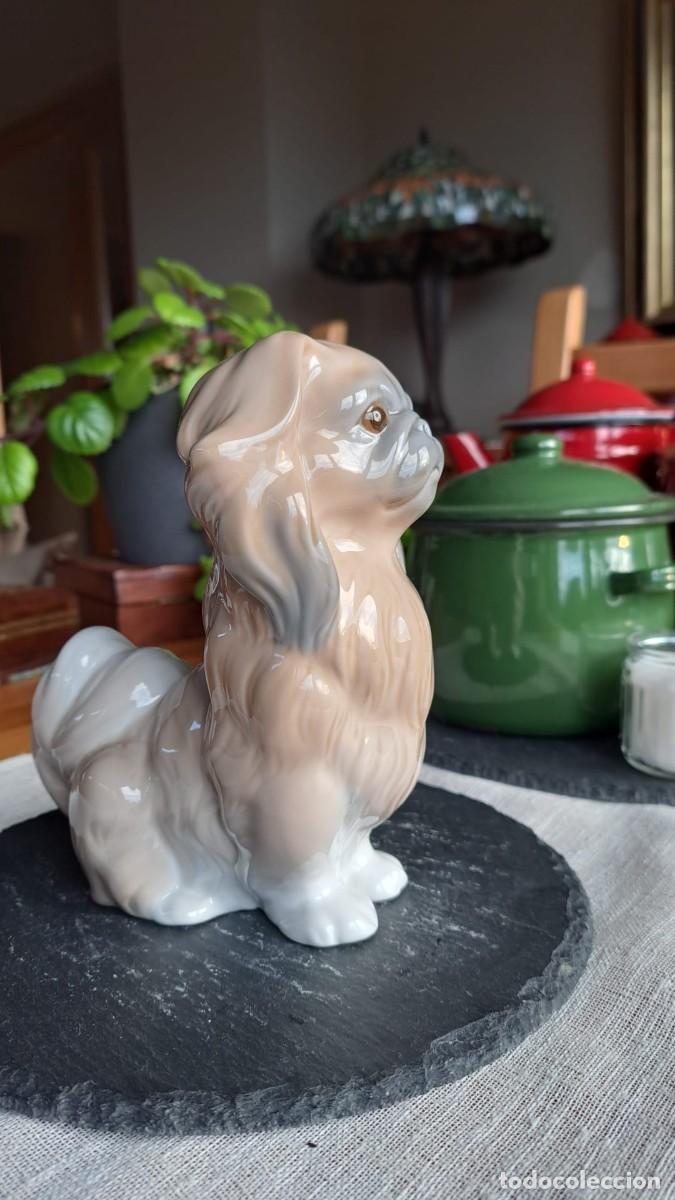 Antig&uuml;edades: PERRO Perrito PEKINES Sentado LLADRO - Foto 4