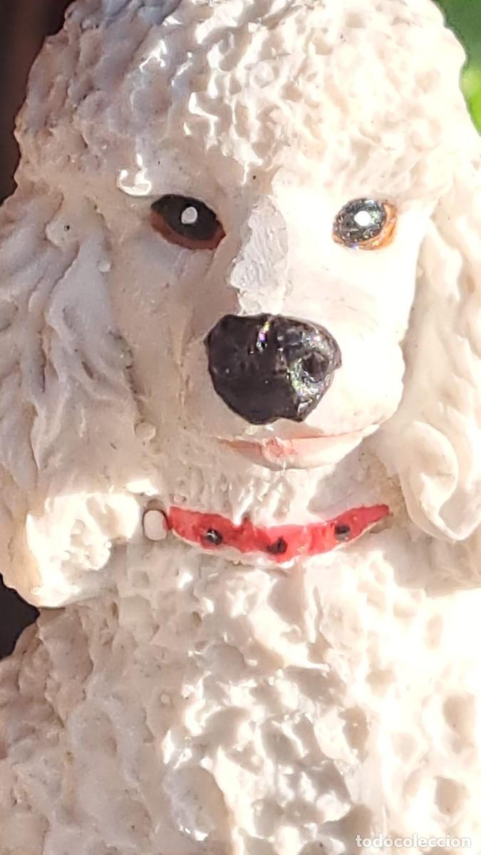 Antig&uuml;edades: PERRO Perrito CANICHE BLANCO A&ntilde;os 50 - Foto 1