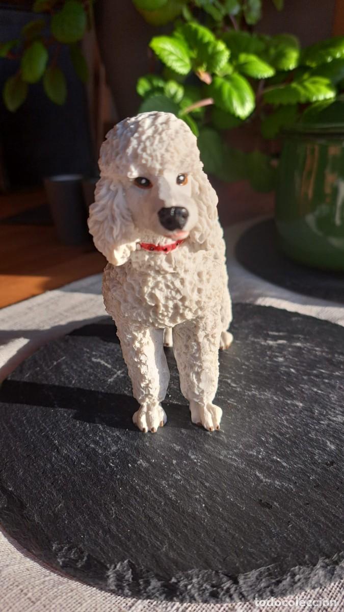 Antig&uuml;edades: PERRO Perrito CANICHE BLANCO A&ntilde;os 50 - Foto 2