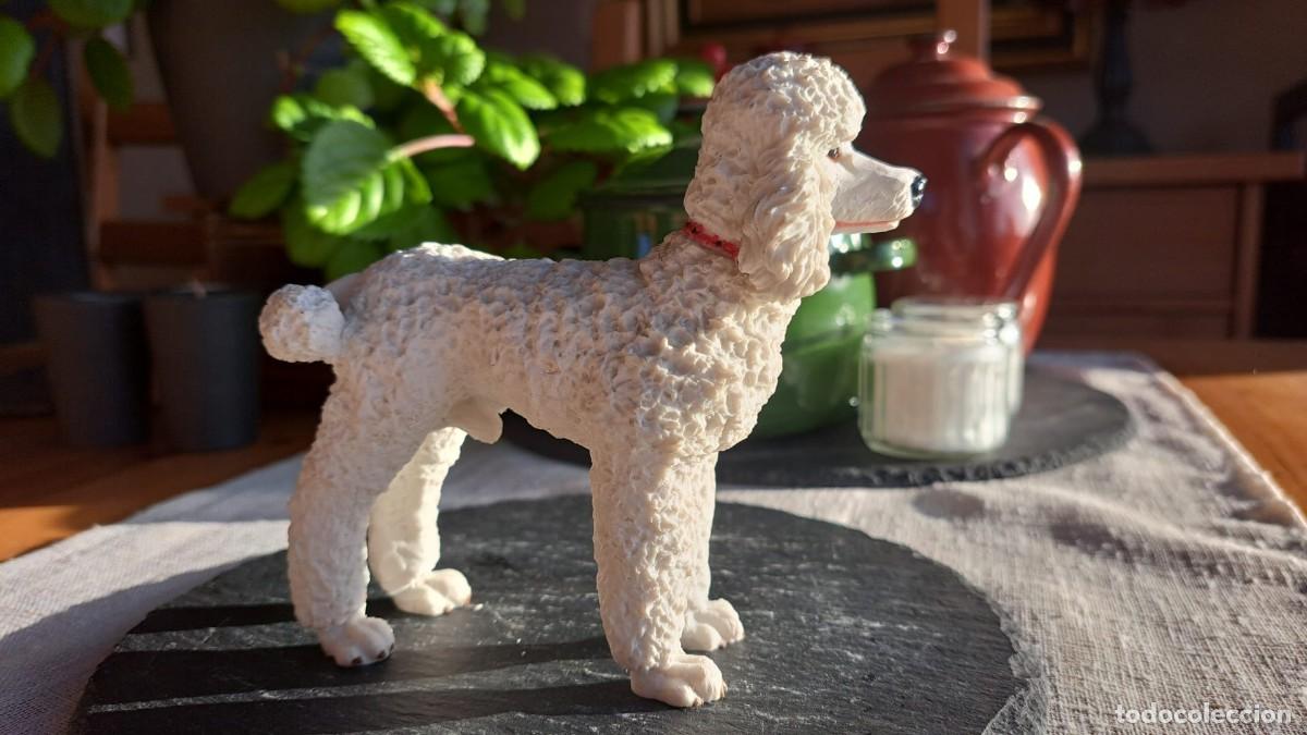 Antig&uuml;edades: PERRO Perrito CANICHE BLANCO A&ntilde;os 50 - Foto 3