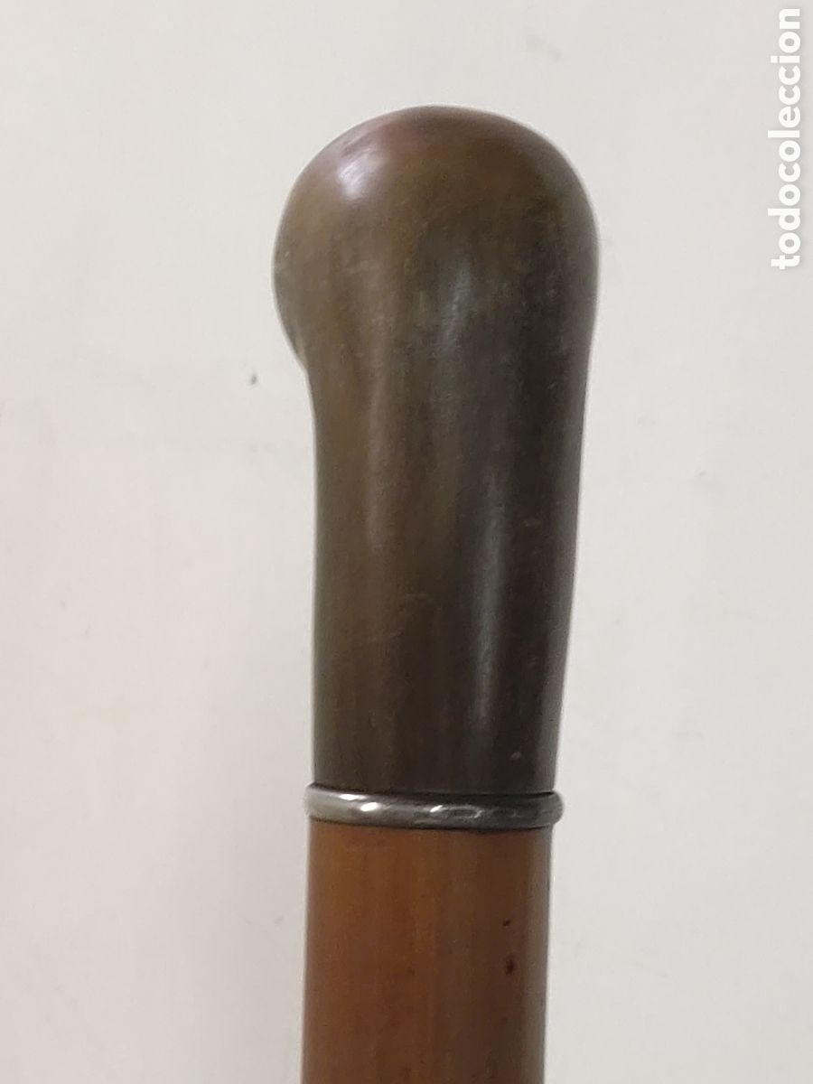 Antig&uuml;edades: Bast&oacute;n Malaca, Cuerno y plata - Foto 6