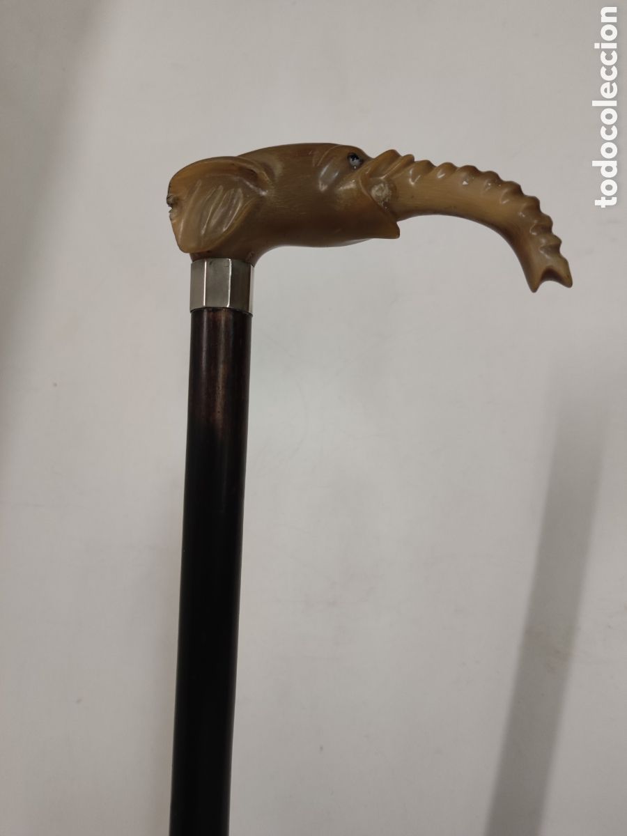Antig&uuml;edades: Bast&oacute;n cuerno y madera ebonizada - Foto 3