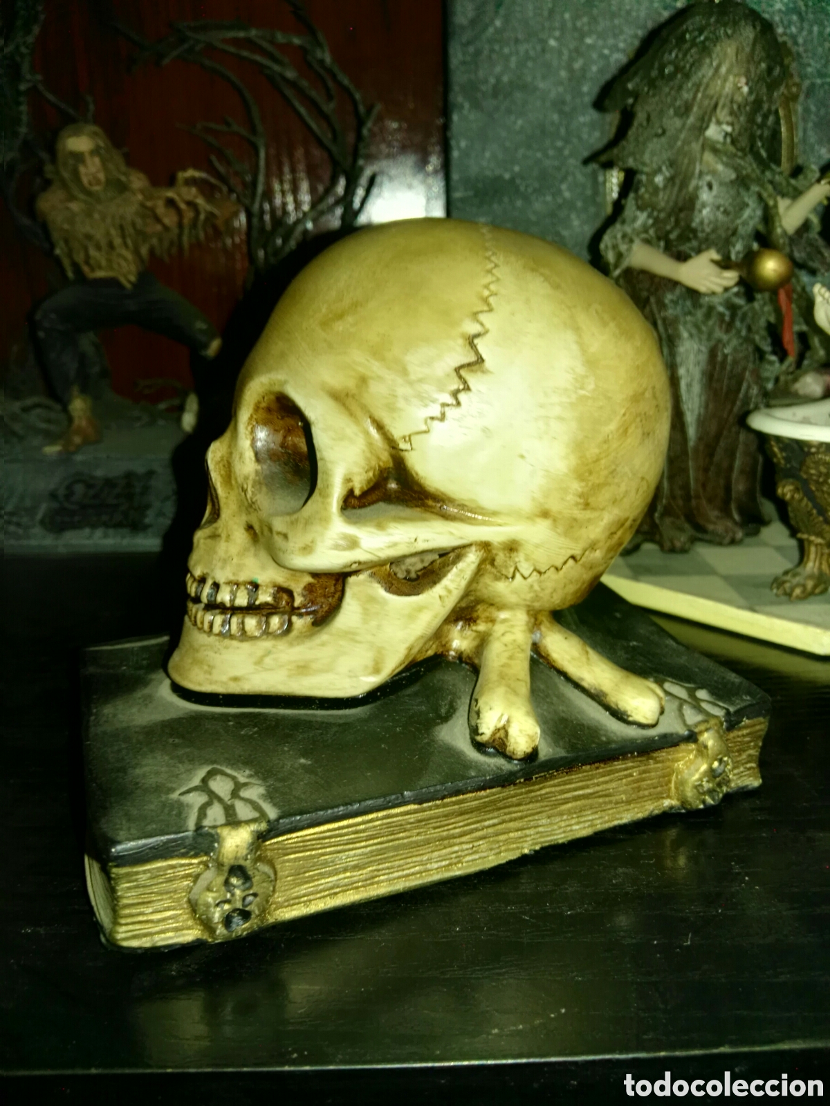 Antig&uuml;edades: Antiguo craneo humano calavera sobre libro - Foto 2