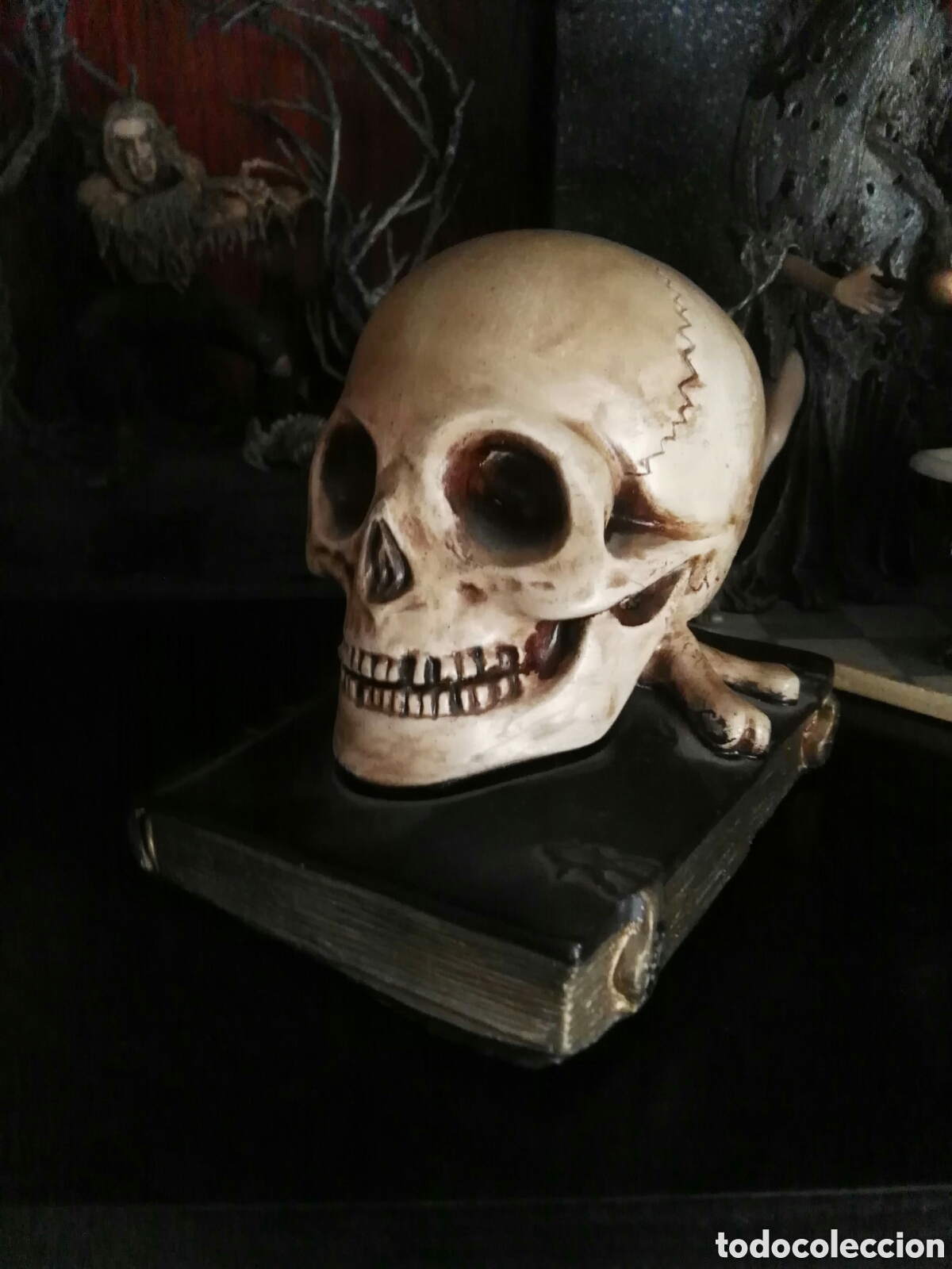 Antig&uuml;edades: Antiguo craneo humano calavera sobre libro - Foto 1