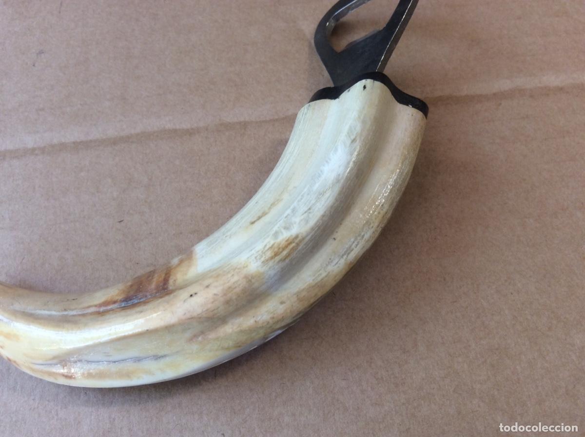Antig&uuml;edades: COLMILLO ABRE BOTELLAS 15cm LONGITUD - Foto 7