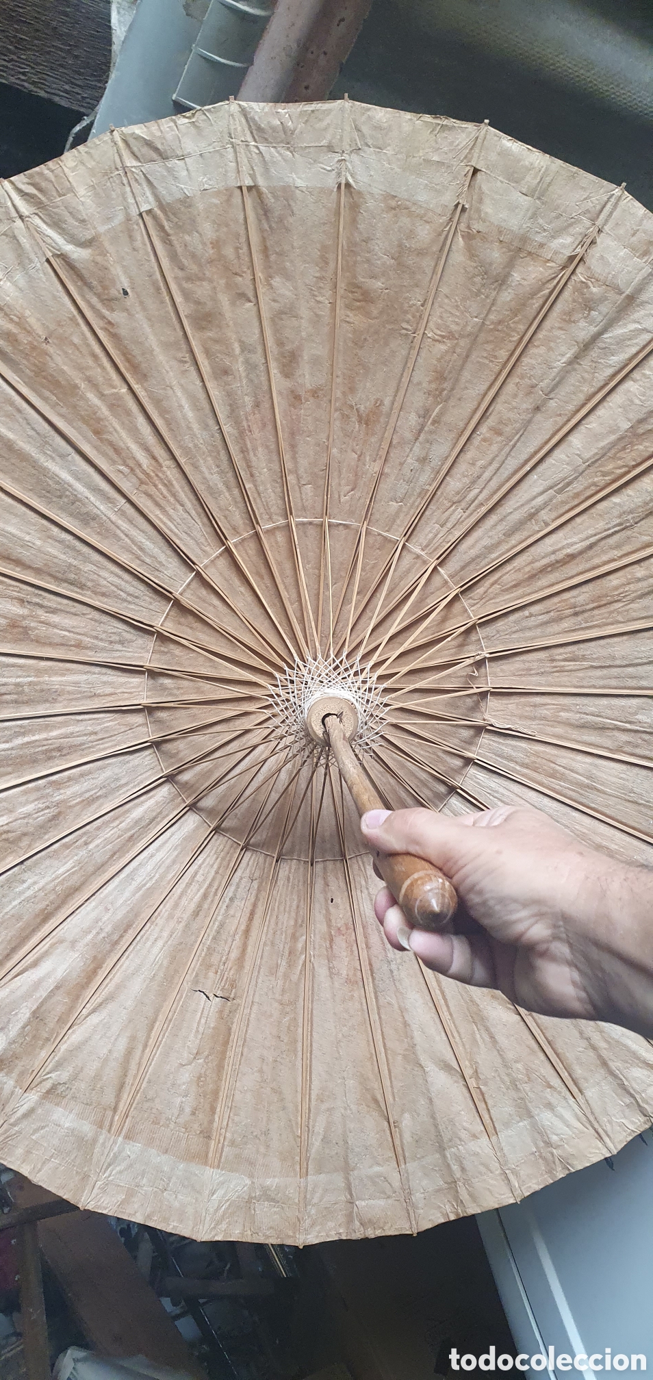 Antig&uuml;edades: PARASOL /SOMBRILLA DE PAPEL DE ACEITE - Foto 3