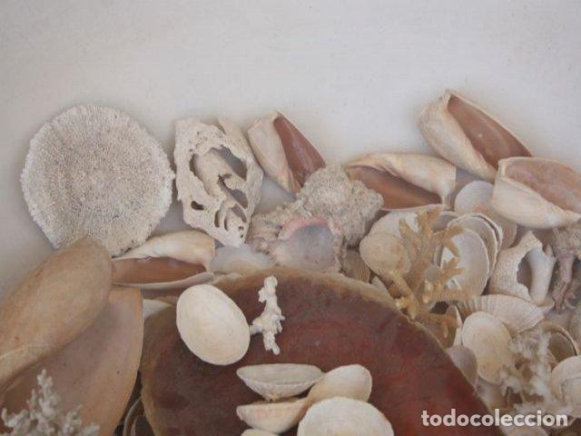 Antig&uuml;edades: Table diabolo 1950 Willy Guhl - Foto 9