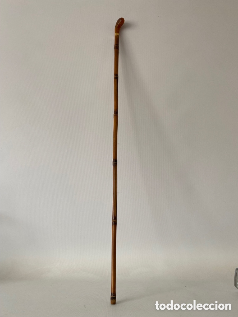 Antig&uuml;edades: Bast&oacute;n de paseo de colecci&oacute;n ca&ntilde;a bamb&uacute; - Foto 1