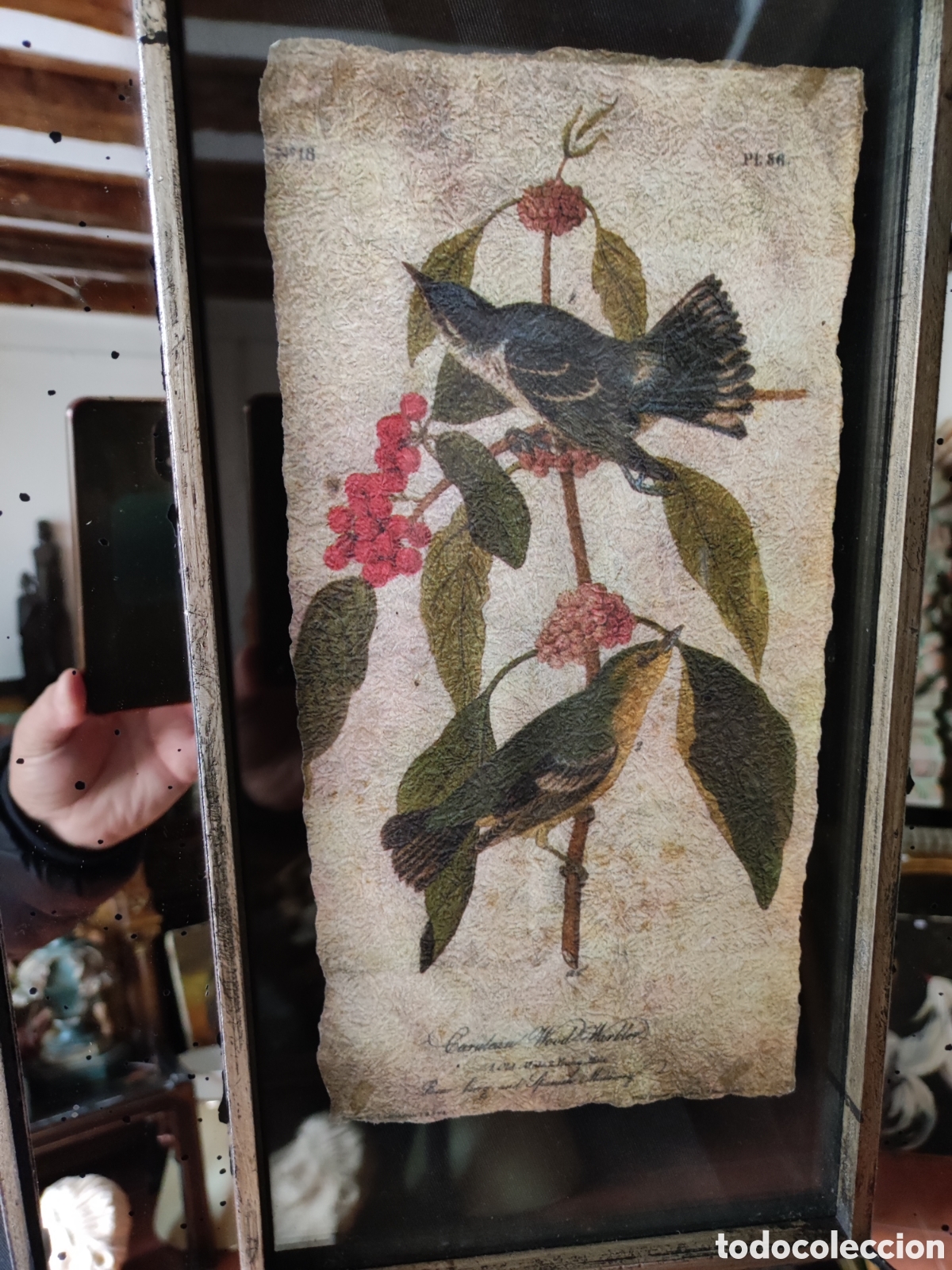 Antig&uuml;edades: Marco de espejos - Foto 2