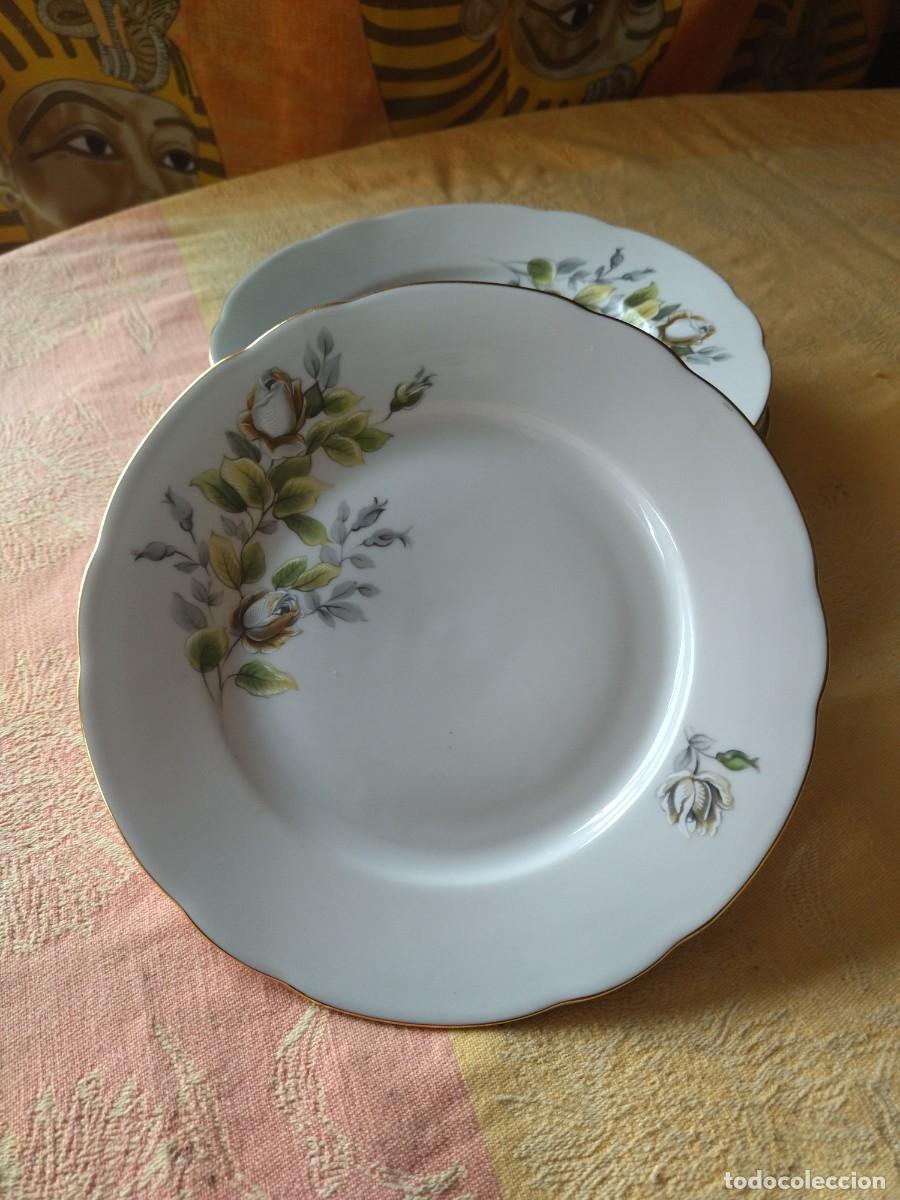 Antiques: Lote de 7 platos de postre de porcelana m z czechoslovakia, decorado con rosas blancas y amarillas.