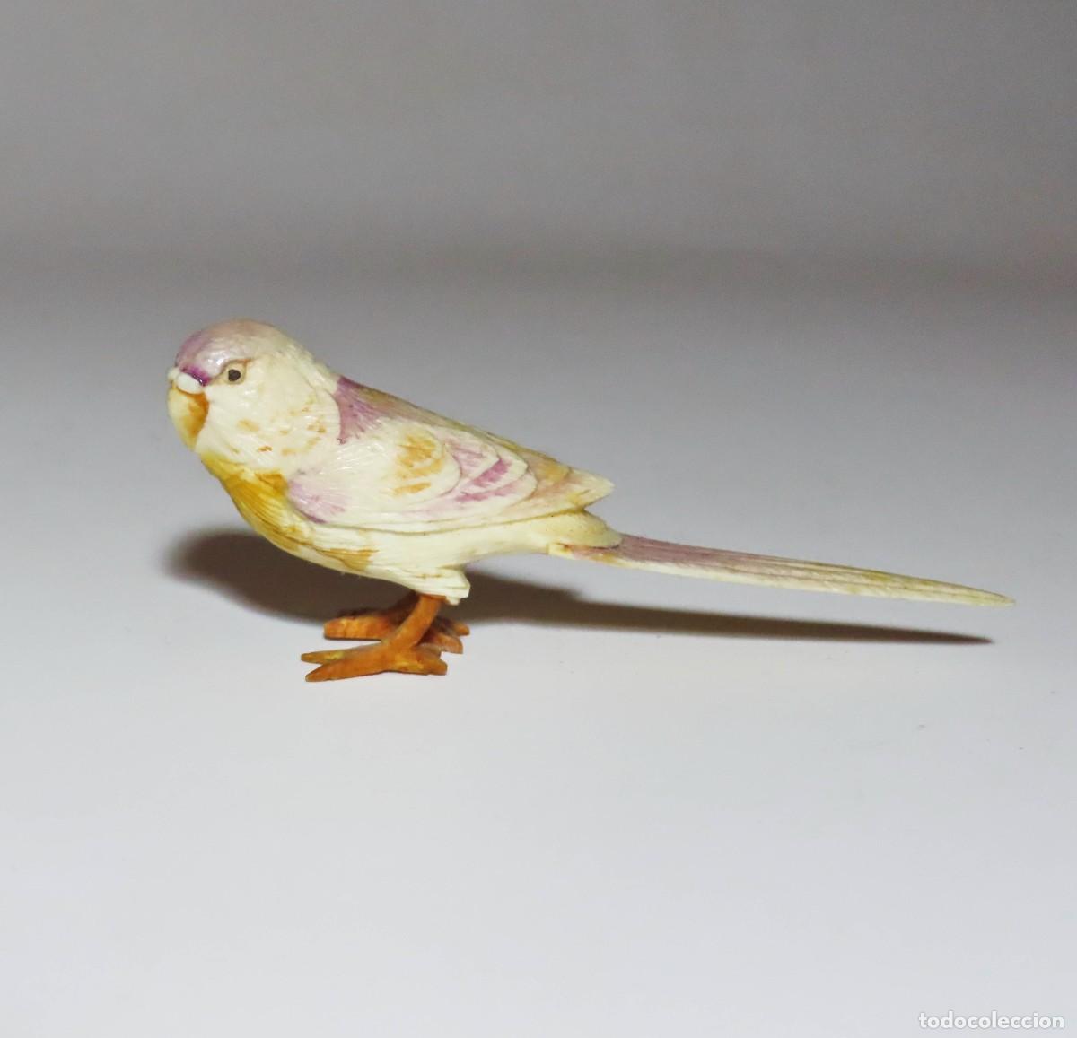 Antig&uuml;edades: P&aacute;jaro de marfil periquito