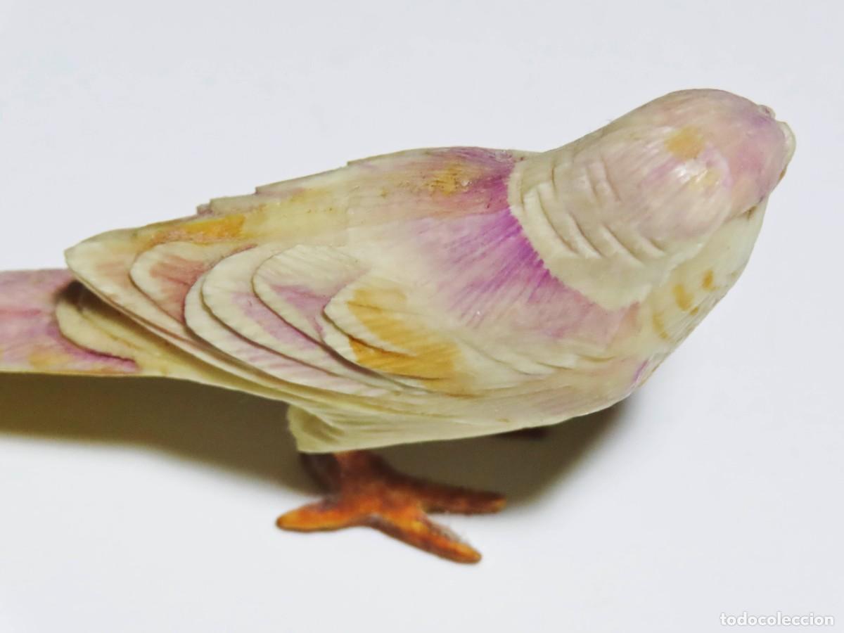Antig&uuml;edades: P&aacute;jaro de marfil periquito - Foto 4