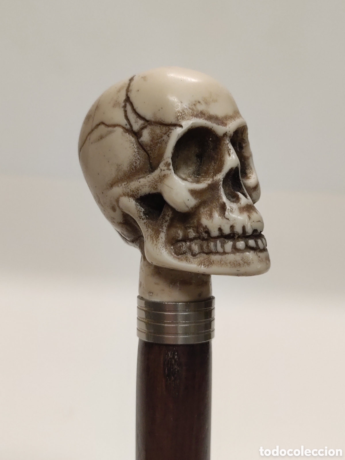 Antig&uuml;edades: Bast&oacute;n Calavera Memento Mori - Foto 3