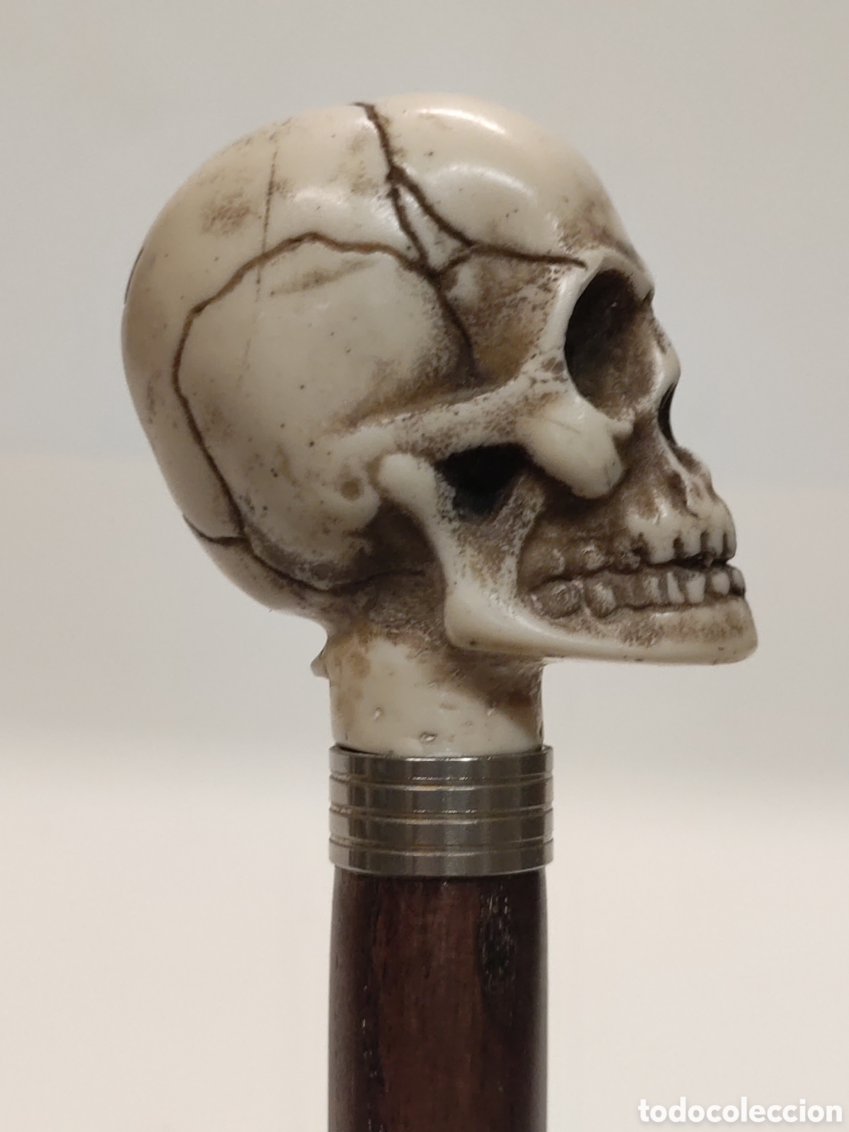 Antig&uuml;edades: Bast&oacute;n Calavera Memento Mori - Foto 4