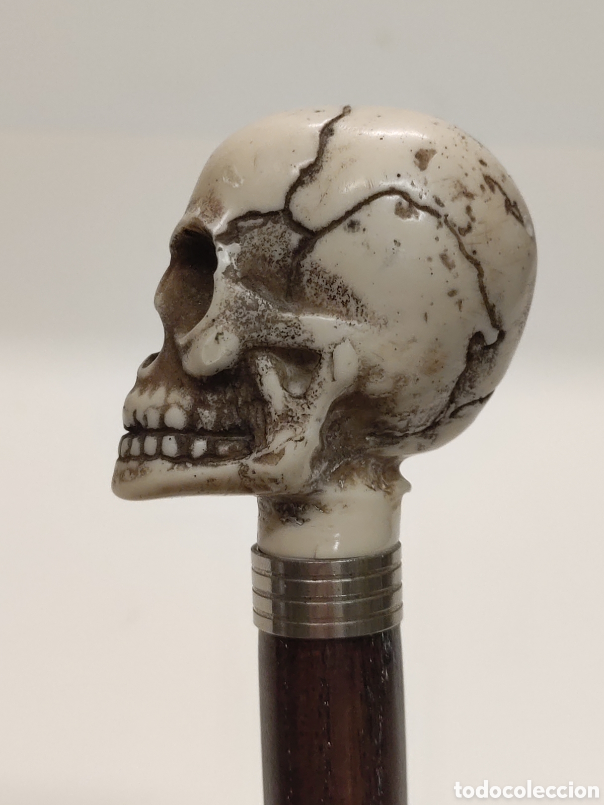Antig&uuml;edades: Bast&oacute;n Calavera Memento Mori - Foto 5