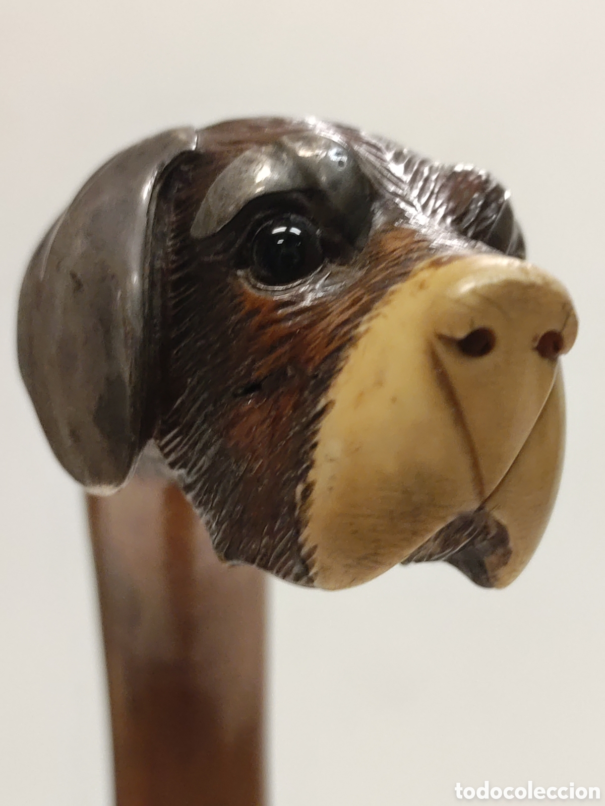 Antig&uuml;edades: Bast&oacute;n Ingl&eacute;s Perro - Foto 6