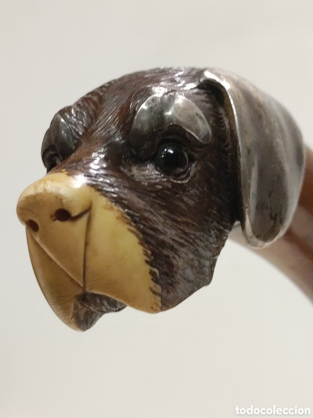 Antig&uuml;edades: Bast&oacute;n Ingl&eacute;s Perro - Foto 7