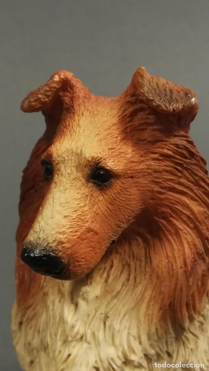 Antig&uuml;edades: FIGURA DE PERRO COLLIE EN RESINA - Foto 6