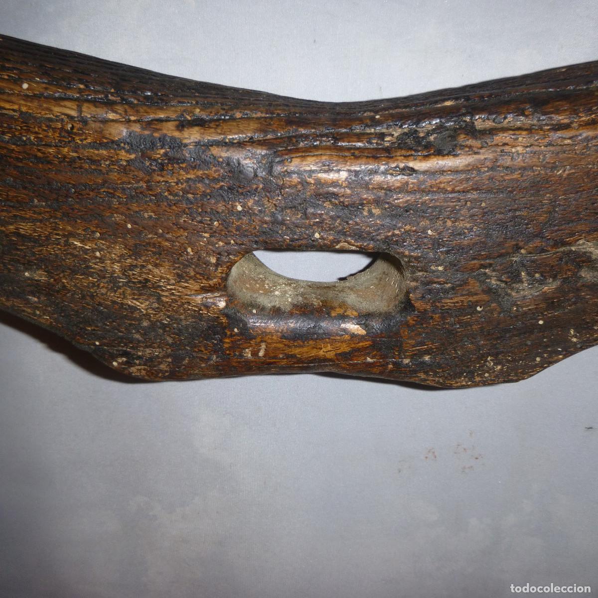 Antig&uuml;edades: ANTIGUO YUGO DE BURROS MADERA OLMO - Foto 4