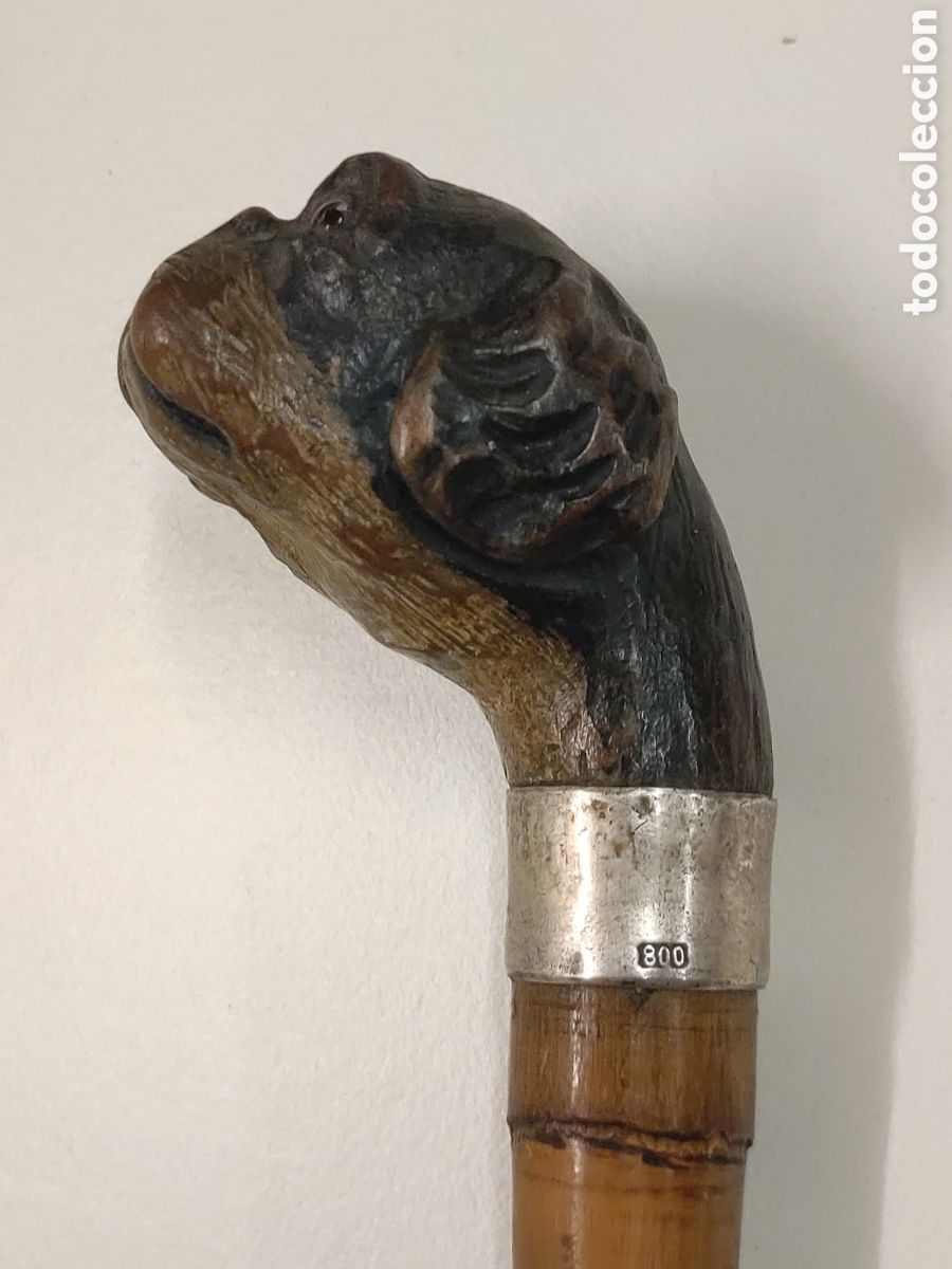 Antig&uuml;edades: Bast&oacute;n Perro Plata 800 cuerno - Foto 1