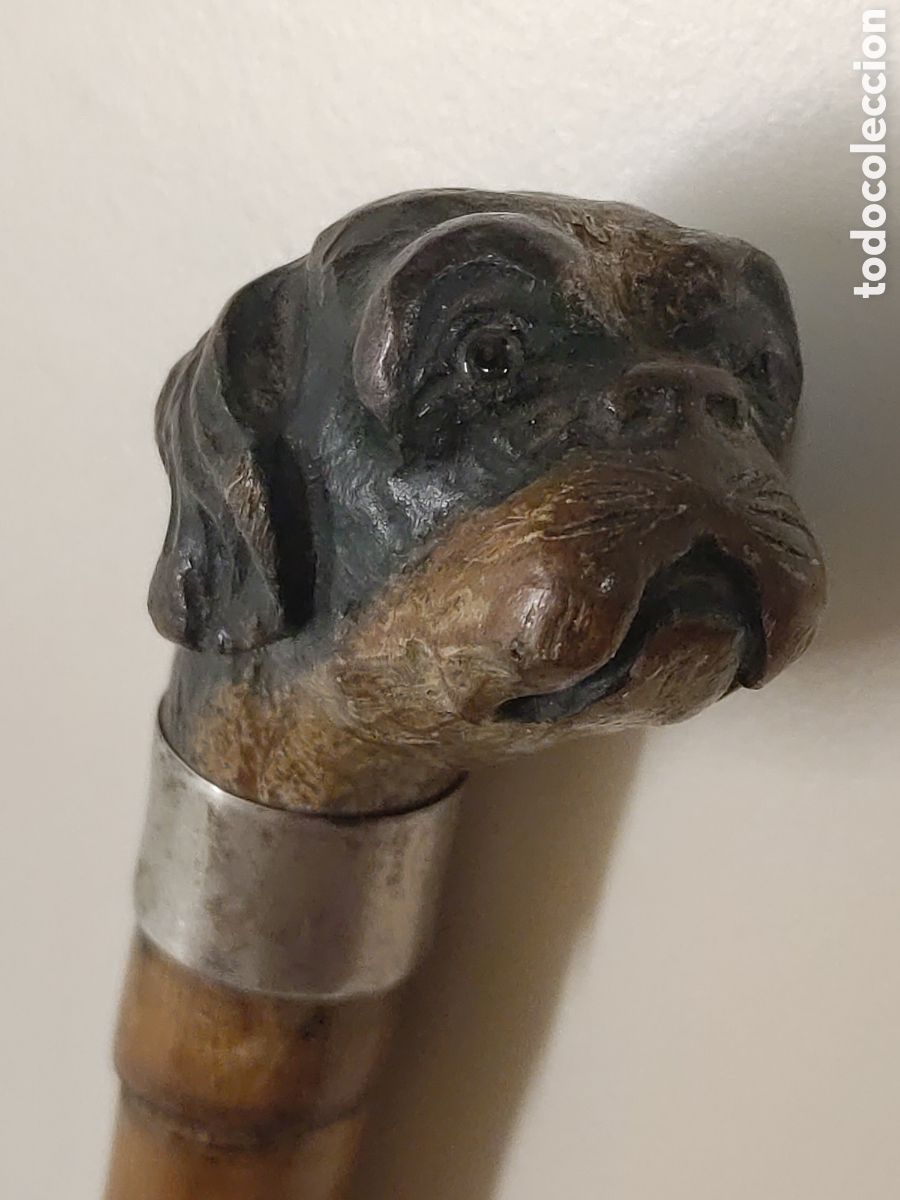 Antig&uuml;edades: Bast&oacute;n Perro Plata 800 cuerno - Foto 4