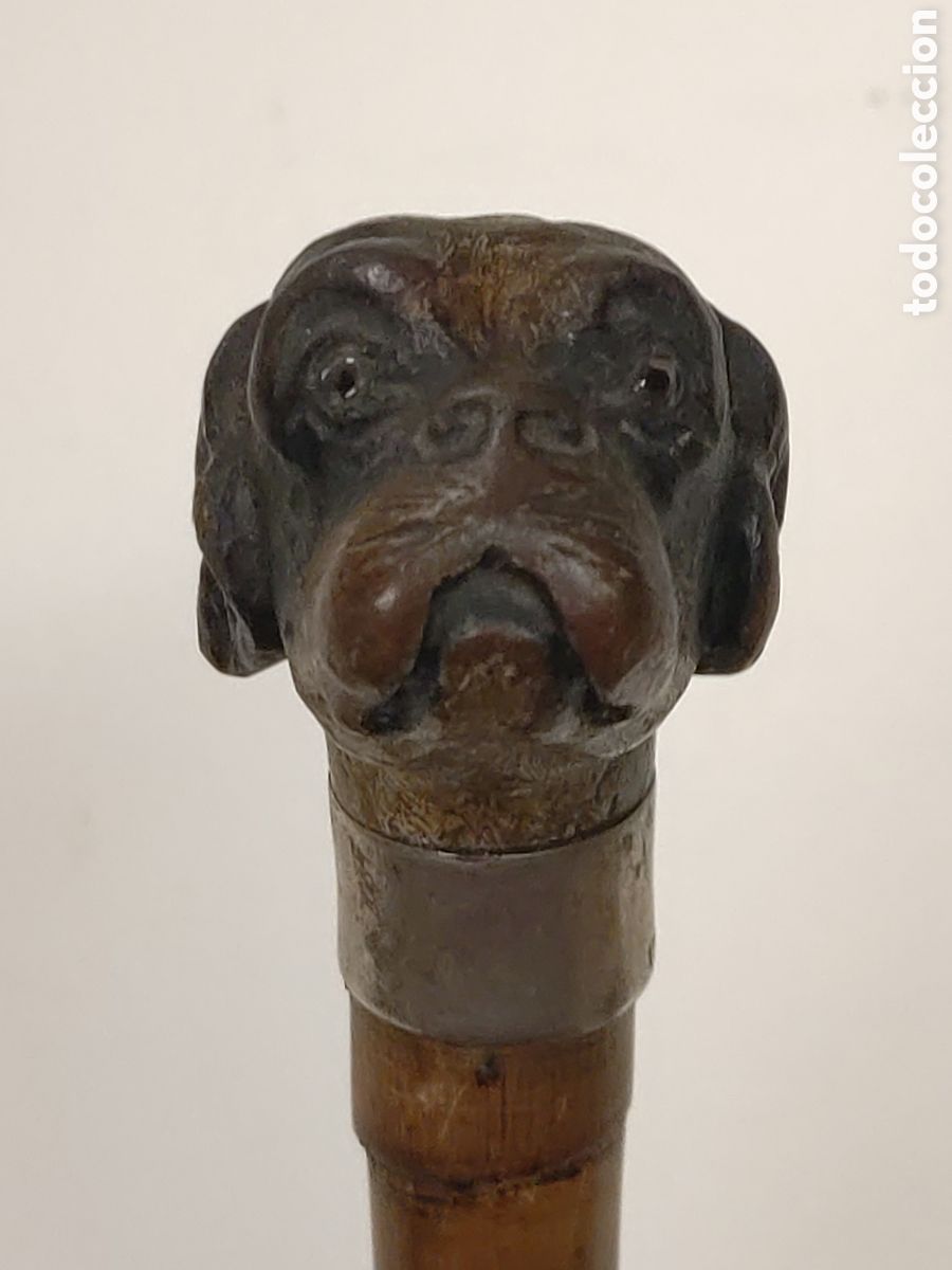 Antig&uuml;edades: Bast&oacute;n Perro Plata 800 cuerno - Foto 6