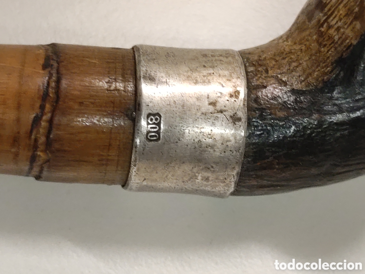 Antig&uuml;edades: Bast&oacute;n Perro Plata 800 cuerno - Foto 11