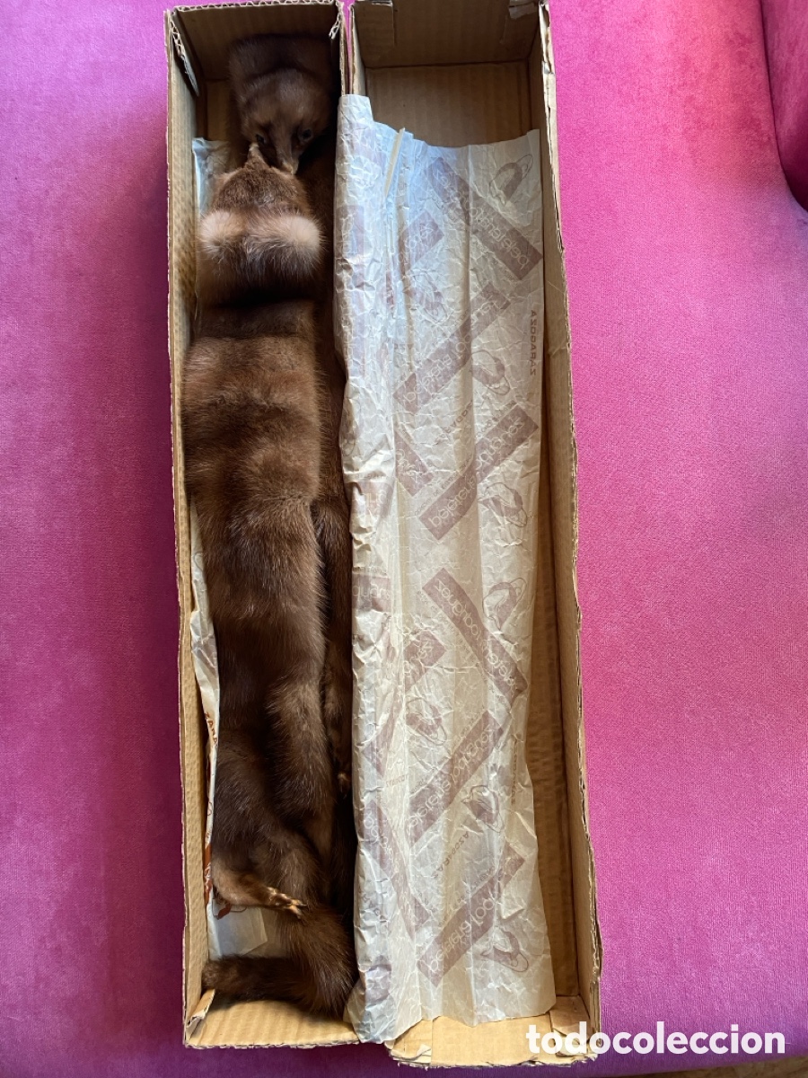 Antig&uuml;edades: Cuello de vis&oacute;n vintage - Foto 5