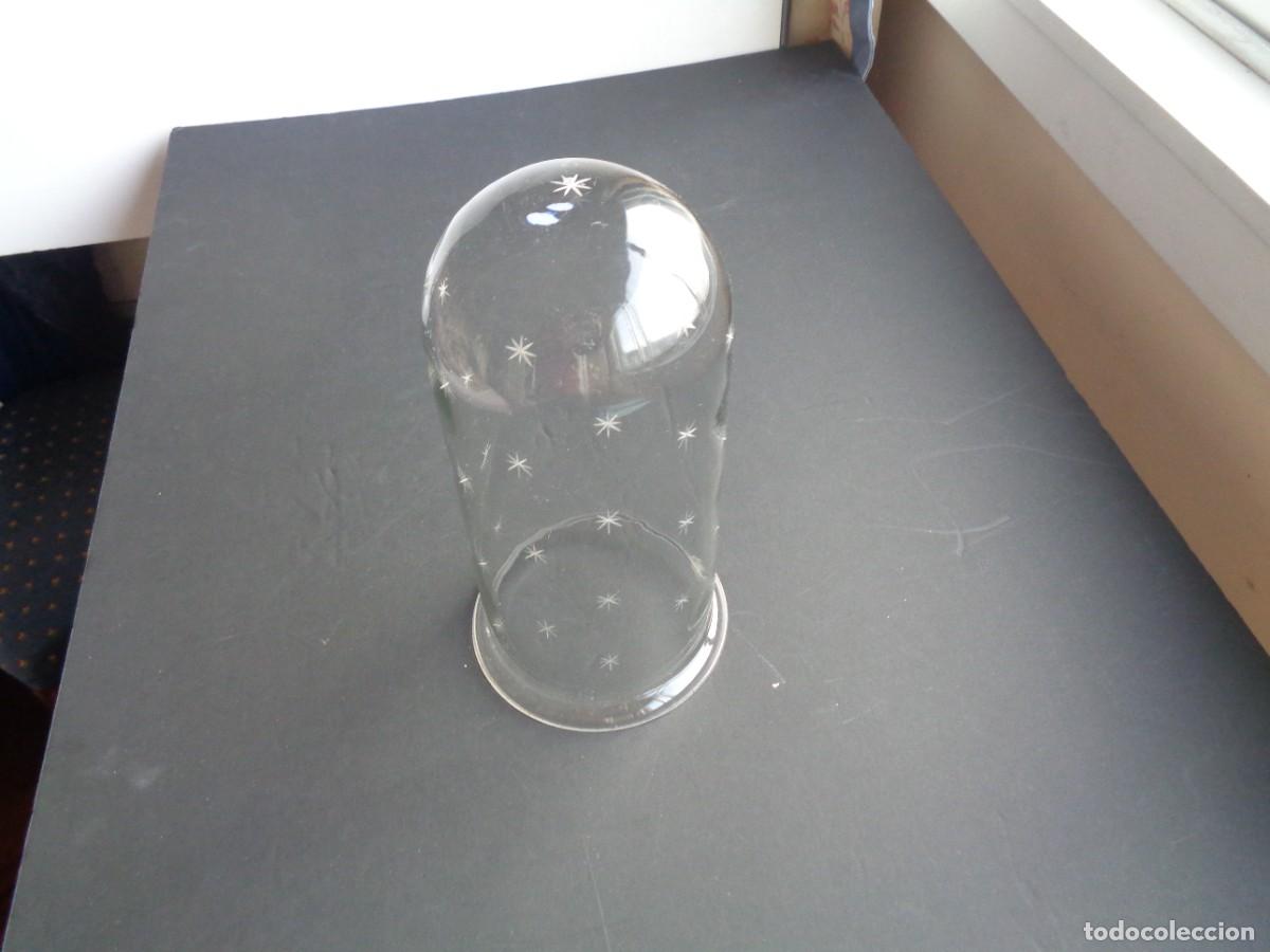 Antig&uuml;edades: CAMPANA DE CRISTAL PARA PROTEGER CUALQUIER OBJETO - Foto 1