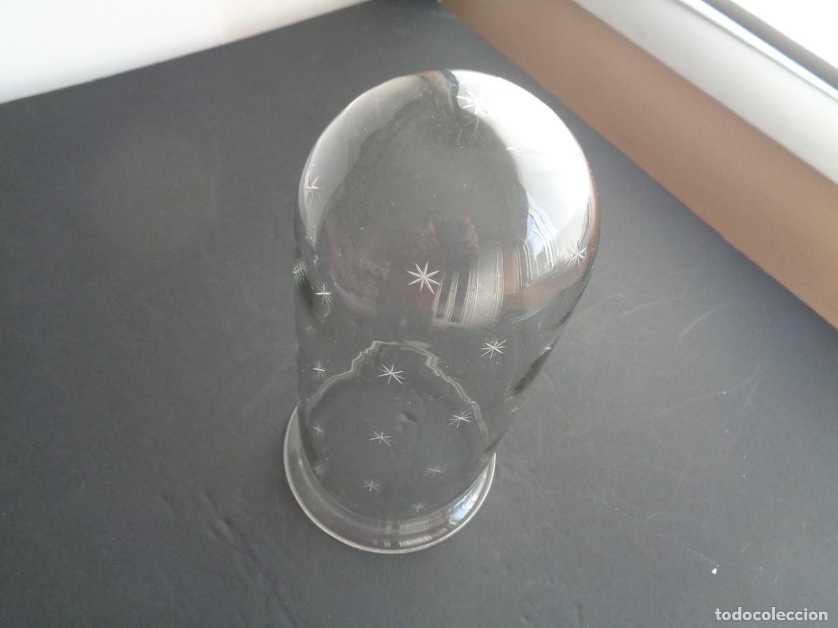 Antig&uuml;edades: CAMPANA DE CRISTAL PARA PROTEGER CUALQUIER OBJETO - Foto 3