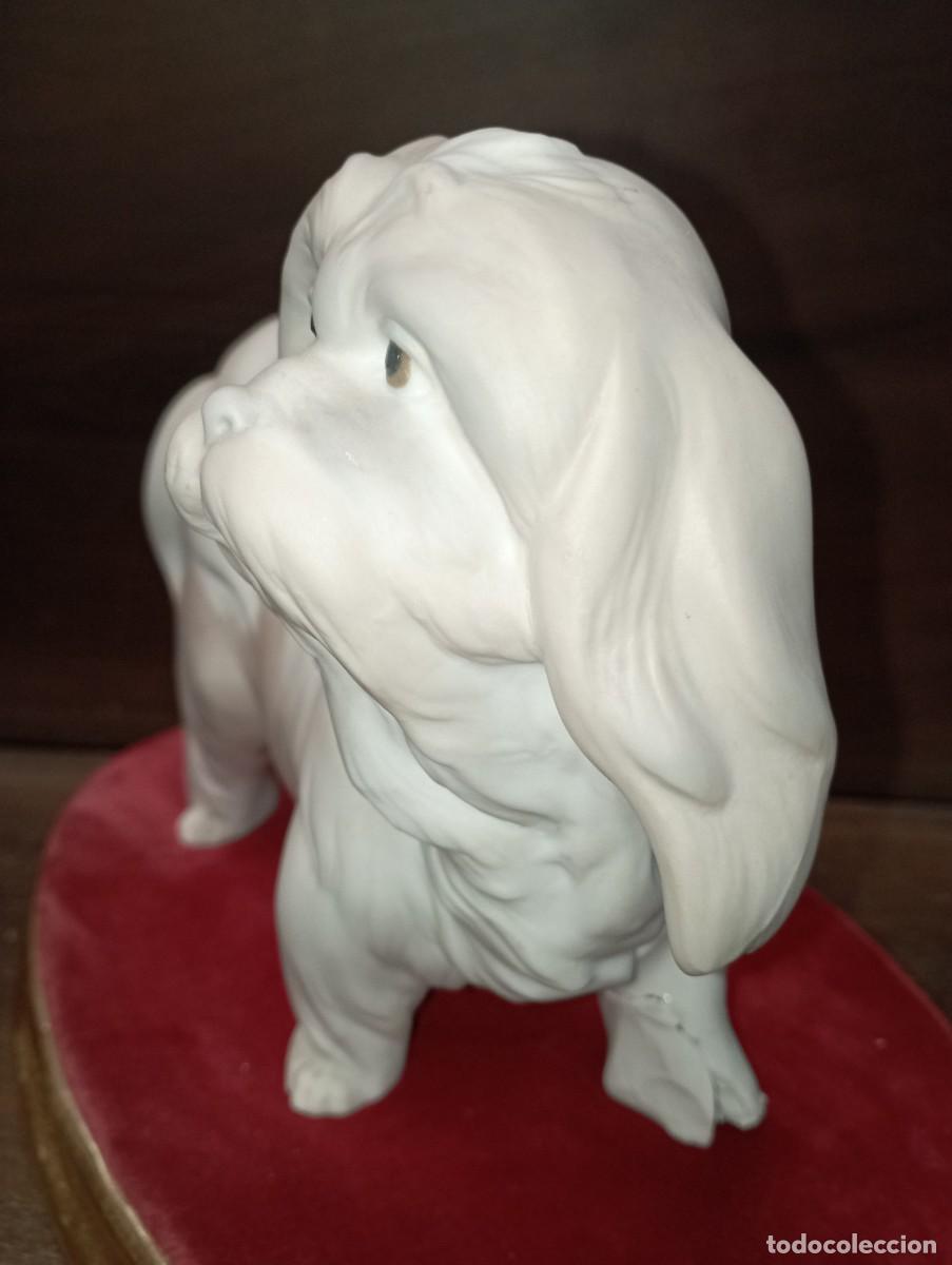 Antig&uuml;edades: Perro pequin&eacute;s. Lladr&oacute;. V2 - Foto 2