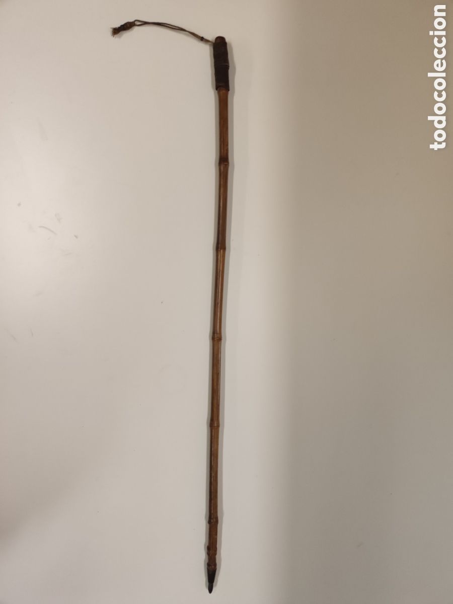 Antig&uuml;edades: Antiguo Bast&oacute;n Vara bamb&uacute; - Foto 2