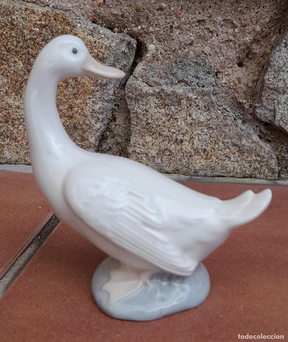 Antig&uuml;edades: PATO NAO - Foto 1