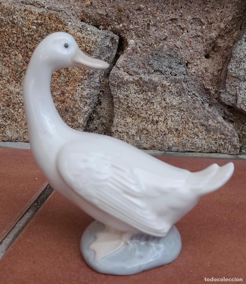 Antig&uuml;edades: PATO NAO - Foto 2