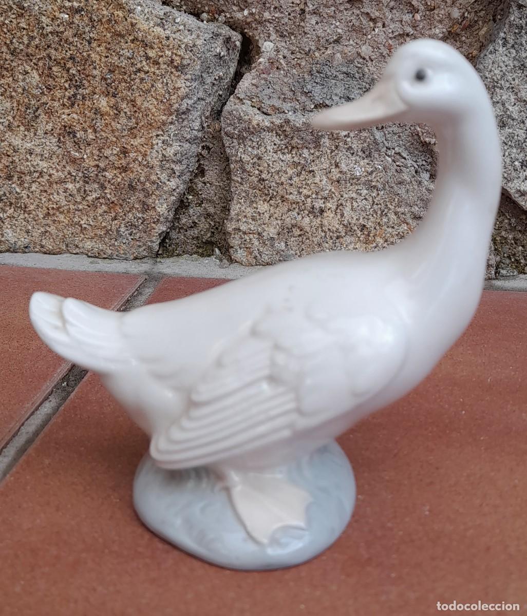 Antig&uuml;edades: PATO NAO - Foto 4