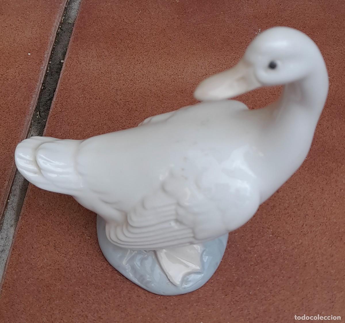 Antig&uuml;edades: PATO NAO - Foto 5