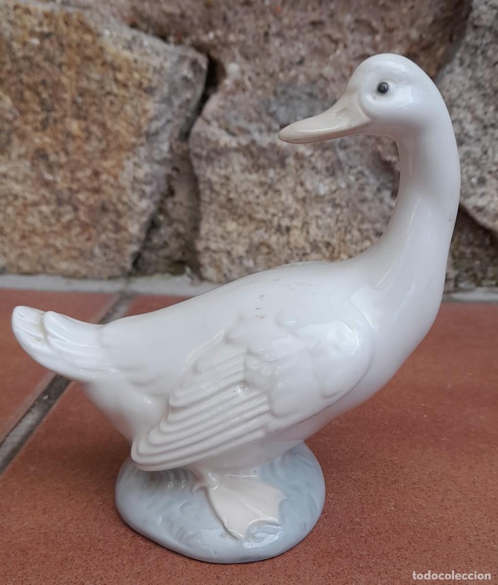Antig&uuml;edades: PATO NAO - Foto 6