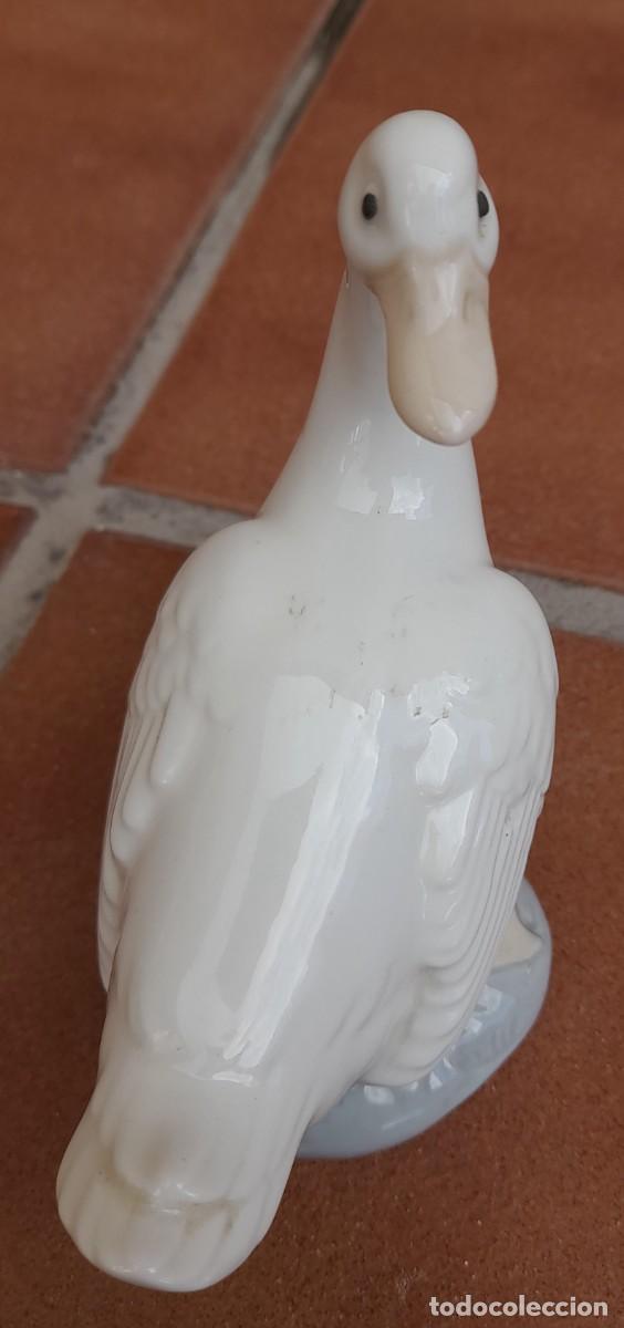 Antig&uuml;edades: PATO NAO - Foto 7