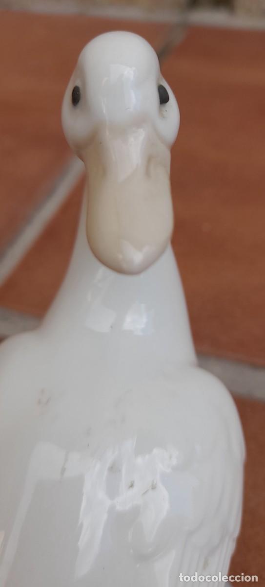 Antig&uuml;edades: PATO NAO - Foto 8