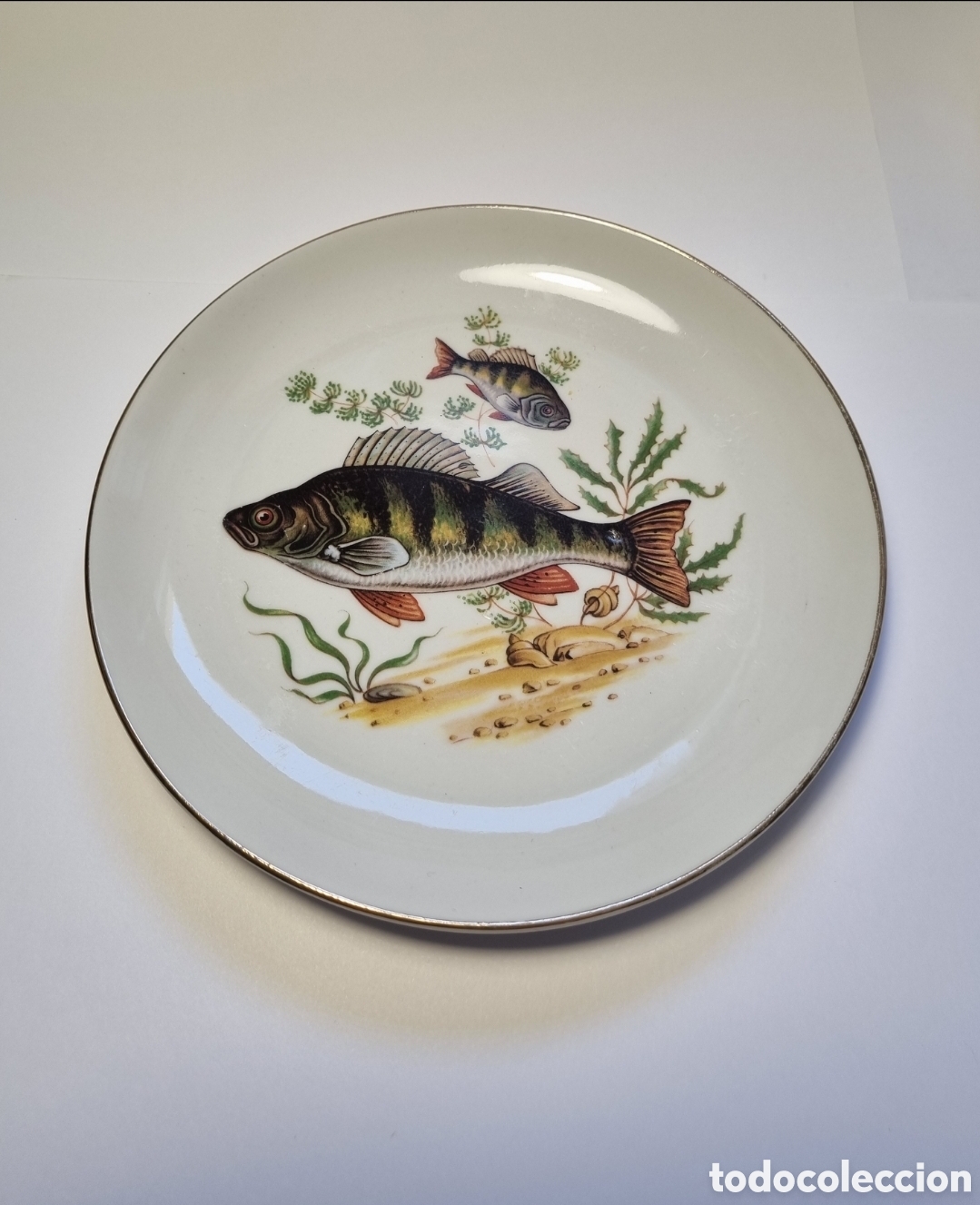 Antig&uuml;edades: Platos cer&aacute;mica pesca - Foto 7