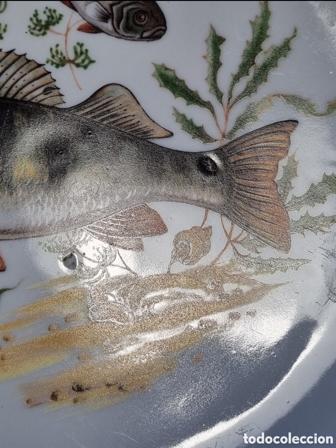 Antig&uuml;edades: Platos cer&aacute;mica pesca - Foto 8