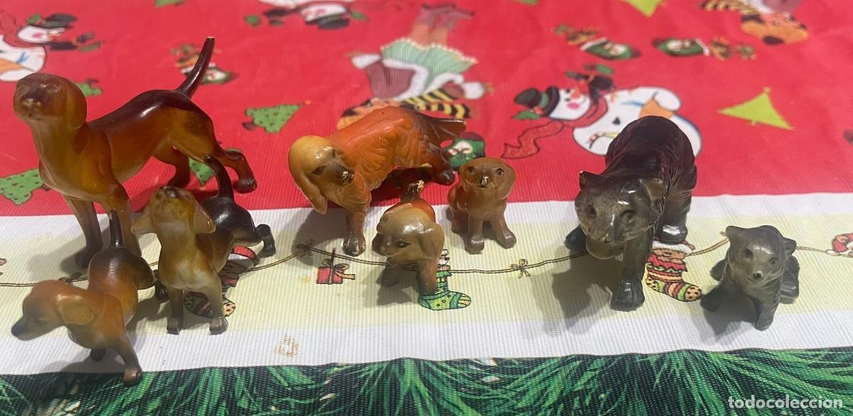 Antig&uuml;edades: LOTE DE 3 FAMILIAS DE PERROS - Foto 5