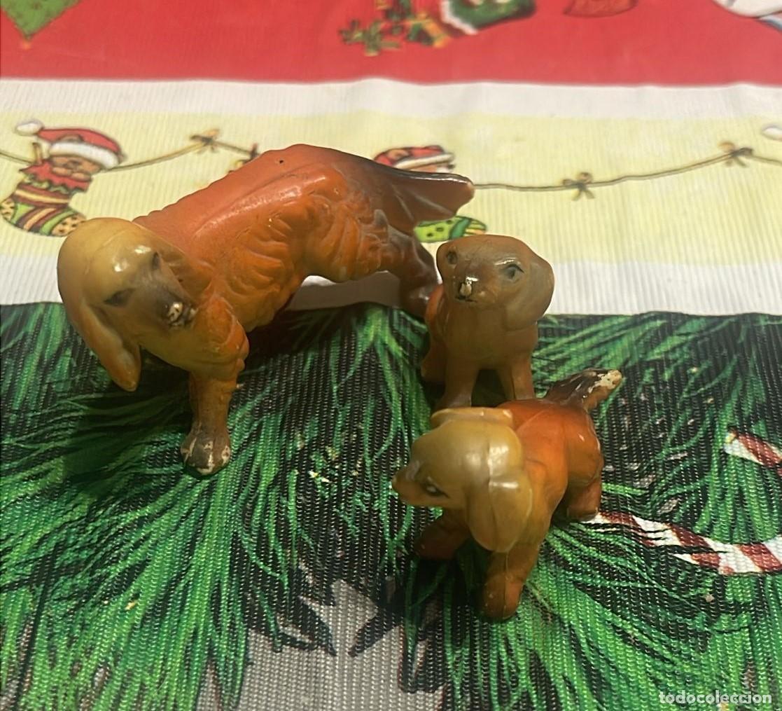 Antig&uuml;edades: LOTE DE 3 FAMILIAS DE PERROS - Foto 8