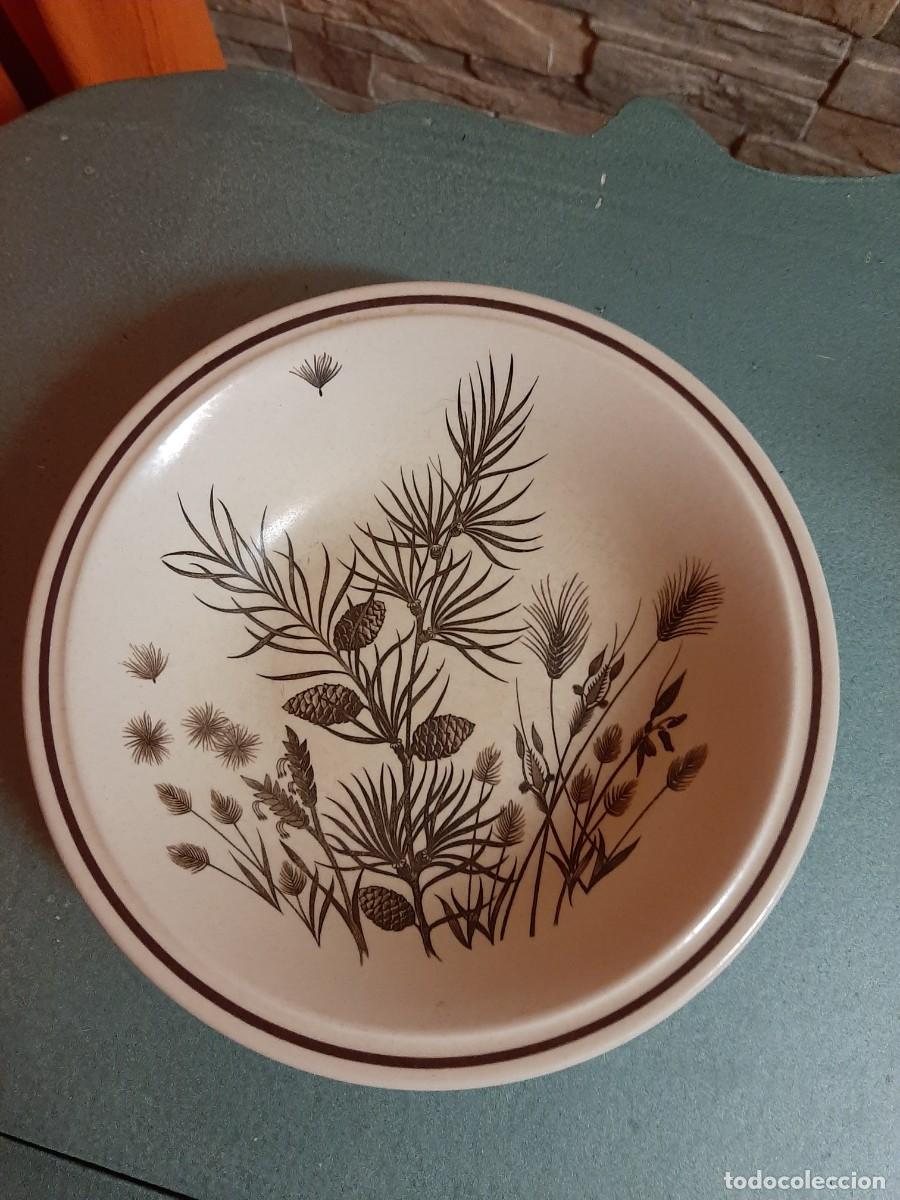 Antig&uuml;edades: BONITO PLATO PINEWOOD - Foto 2