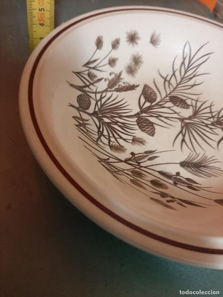 Antig&uuml;edades: BONITO PLATO PINEWOOD - Foto 8
