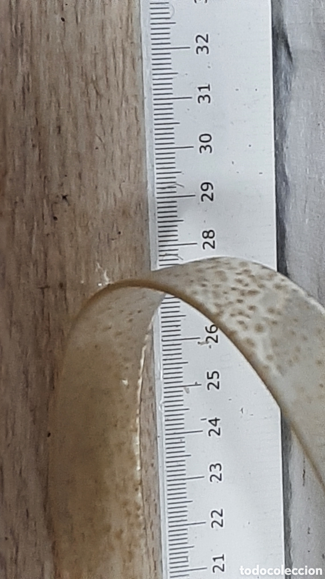 Antig&uuml;edades: CINTO..CINTURON INFANTIL PLASTICO - Foto 4