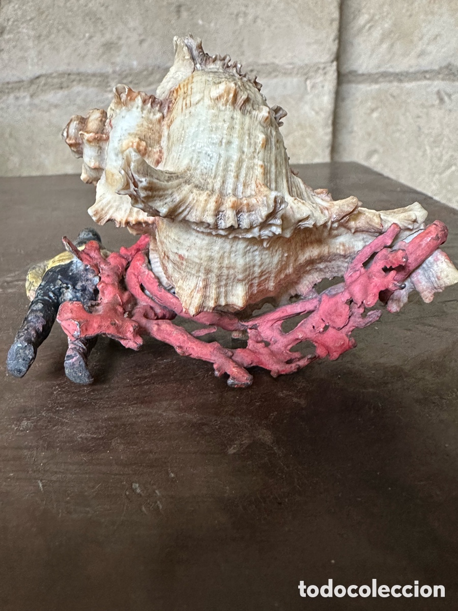 Antig&uuml;edades: Figura plomo Nuremberg bronce Viena - Foto 19