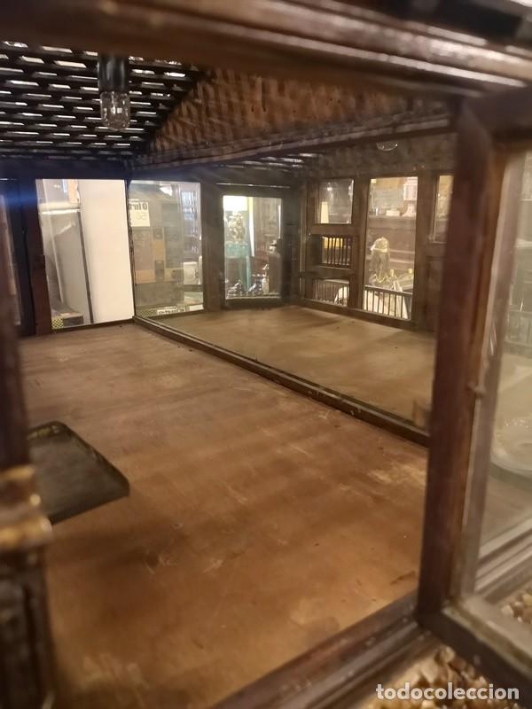 Antig&uuml;edades: Jaula o Terrario - Foto 8