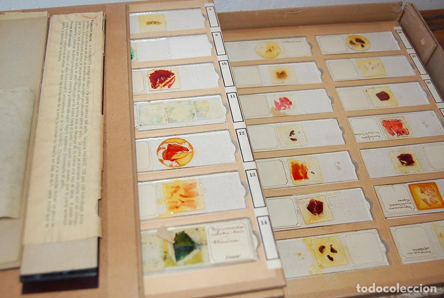 Antig&uuml;edades: PR&Eacute;PARATION MICROSCOPIQUES - Foto 4